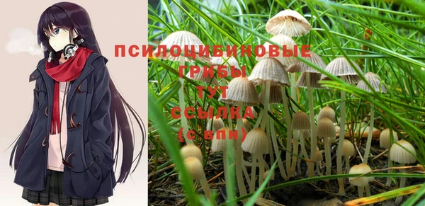 прущая мука Надым