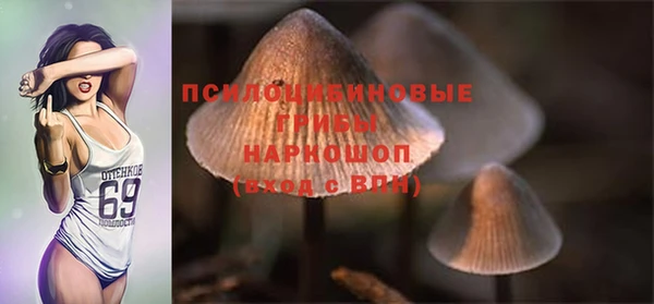 прущая мука Навашино